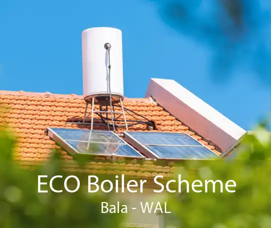ECO Boiler Scheme Bala - WAL