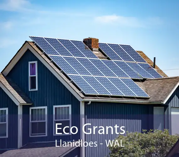 Eco Grants Llanidloes - WAL