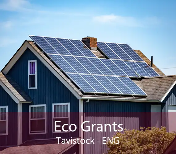 Eco Grants Tavistock - ENG