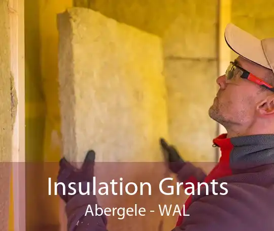 Insulation Grants Abergele - WAL