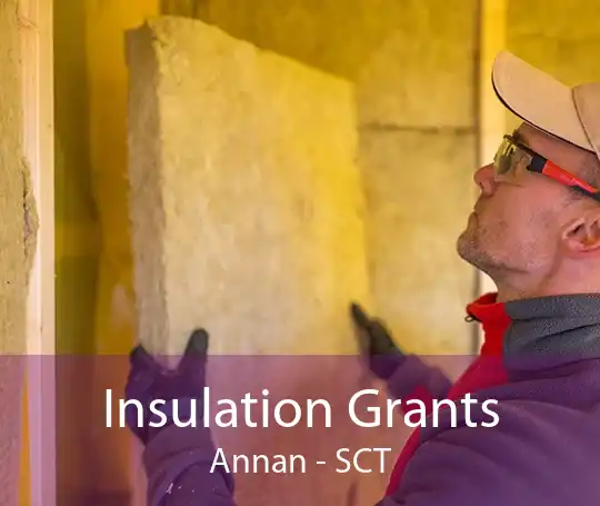 Insulation Grants Annan - SCT