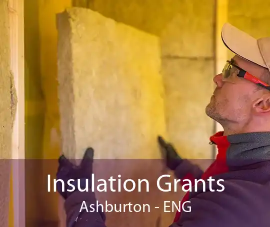Insulation Grants Ashburton - ENG