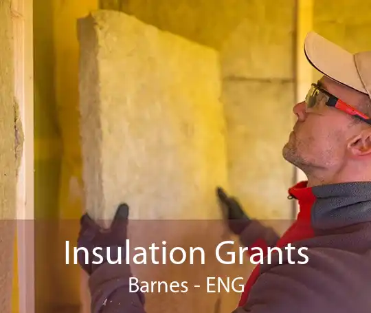Insulation Grants Barnes - ENG