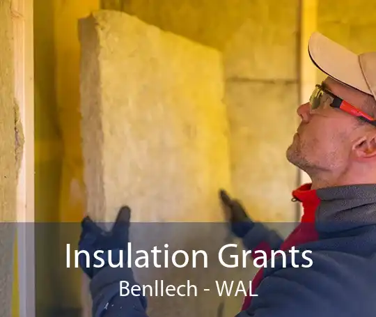 Insulation Grants Benllech - WAL