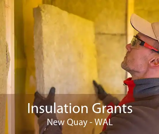 Insulation Grants New Quay - WAL