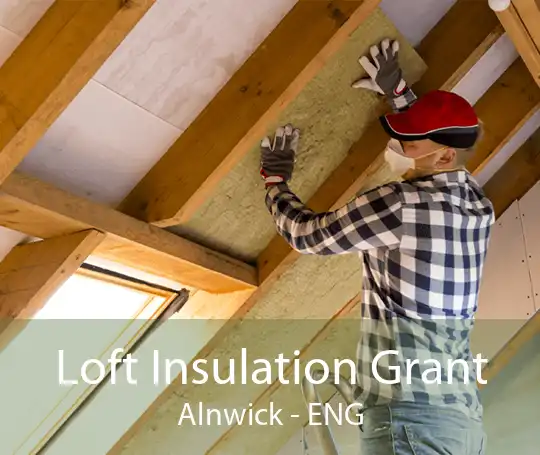 Loft Insulation Grant Alnwick - ENG