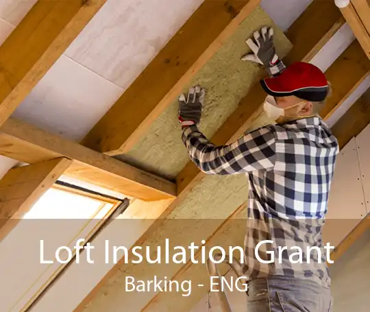 Loft Insulation Grant Barking - ENG