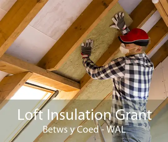 Loft Insulation Grant Betws y Coed - WAL