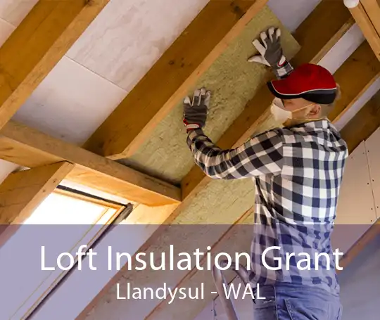 Loft Insulation Grant Llandysul - WAL