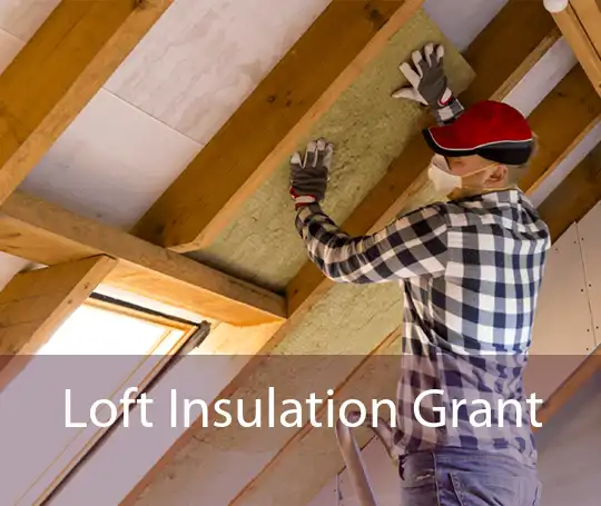 Loft Insulation Grant 