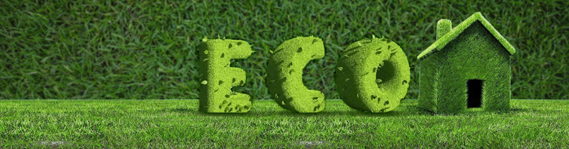 ECO Grants - ECO Energy Grants